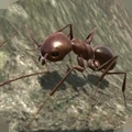 蚂蚁模拟大亨