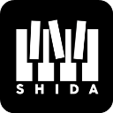 shida自动弹琴