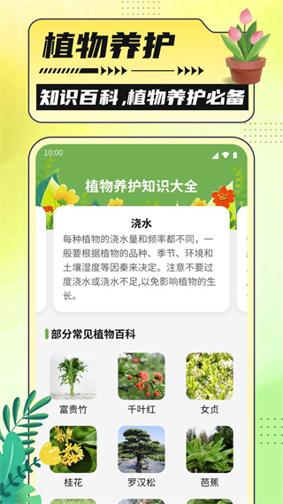 银杏助手大字版appv1000图2