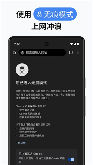 谷歌浏览器金丝雀版appv128.0.6547.0图片2