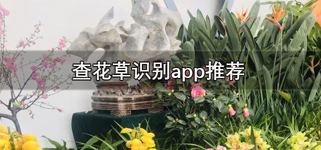 查花草识别app