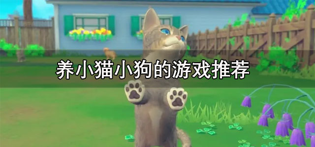 养小猫小狗的游戏