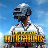 pubg小言魔改obb2.9